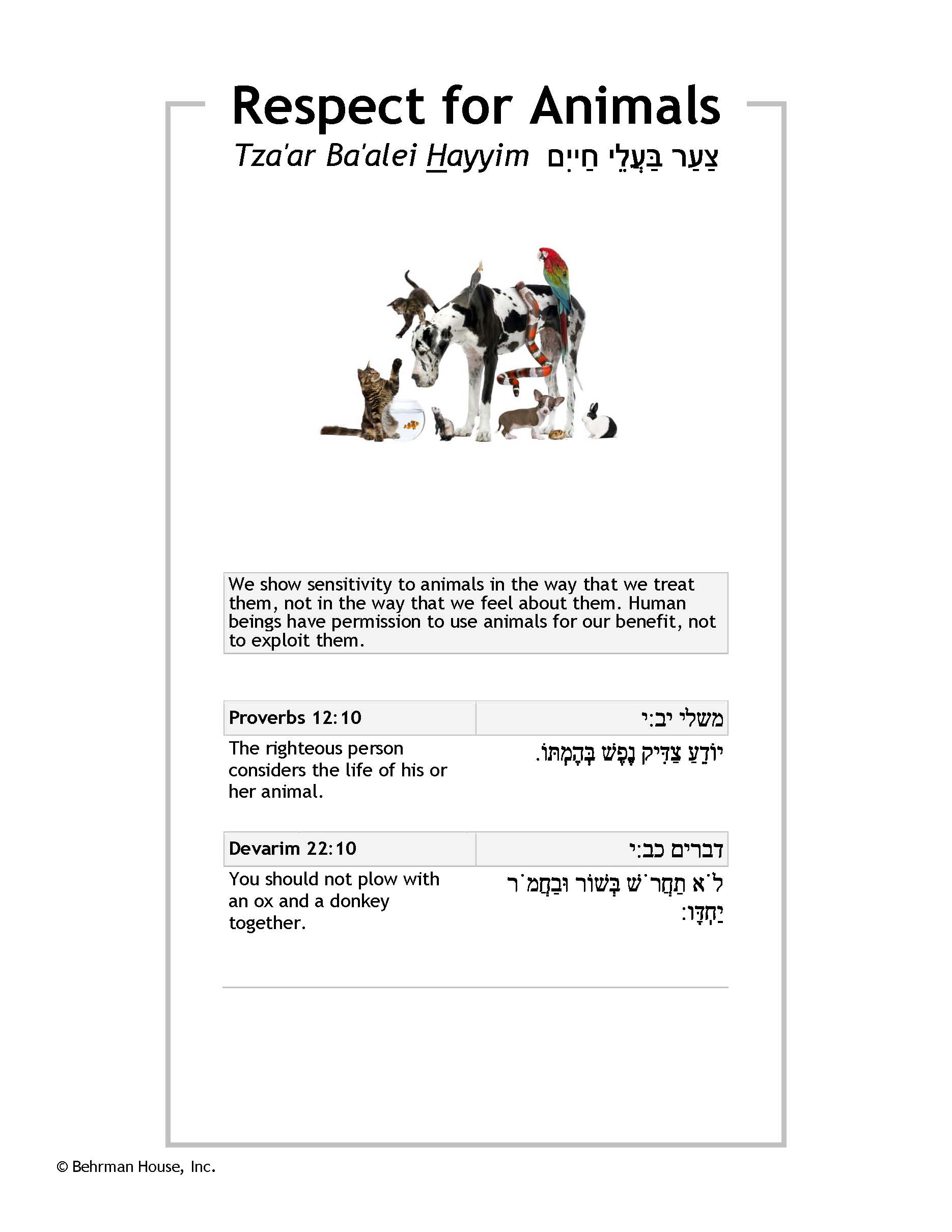 Respect for Animals PDF Behrman House Publishing